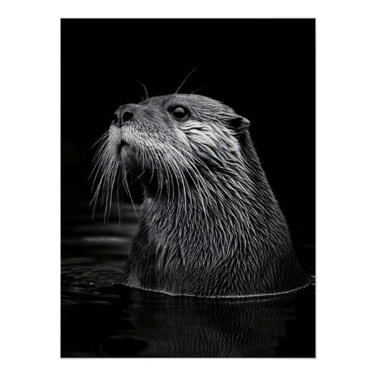 Curious Sea Otter Monochromatic Water Portrait ポスター (正面)