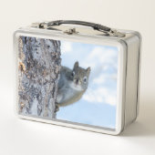 Curious Squirrel、カナダ動物写真 メタルランチボックス (正面)