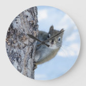 Curious Squirrel、カナダ動物写真 ラージ壁時計 (正面)