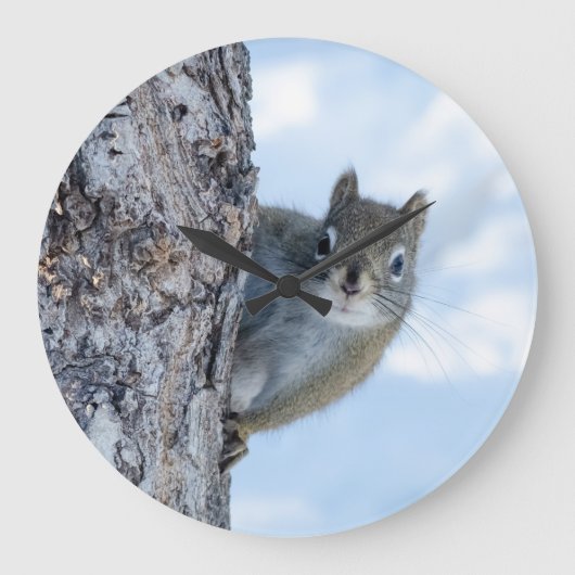 Curious Squirrel、カナダ動物写真 ラージ壁時計 (正面)