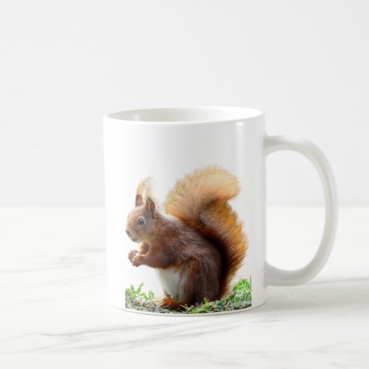 Curious Squirrel Mug コーヒーマグカップ (右)