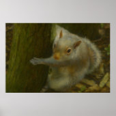 Curious Squirrel – Woodland Wildlife Art ポスター (正面)