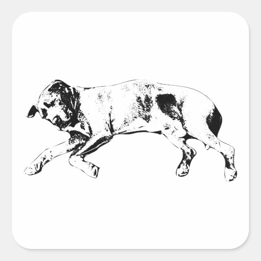 Curled Limbs, Noel Calm スクエアシール (正面)