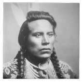 Curley、カラスの種族の、Custerの偵察者の1人 タイル (正面)