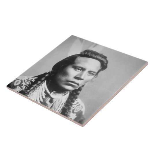 Curley、カラスの種族の、Custerの偵察者の1人 タイル (側面)