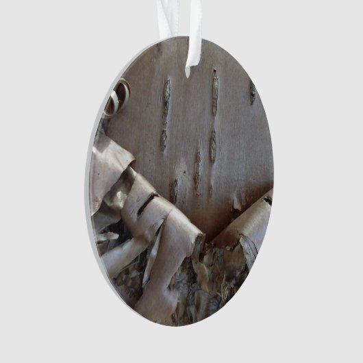Curly Birch Bark Tree Rustic オーナメント (正面)