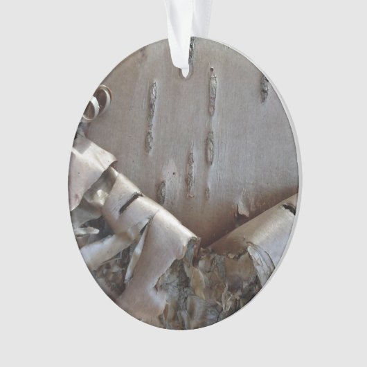 Curly Birch Bark Tree Rustic オーナメント (正面)