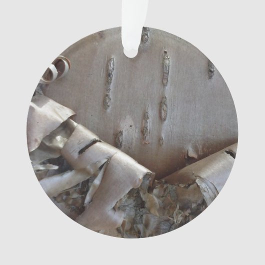 Curly Birch Bark Tree Rustic オーナメント (正面)