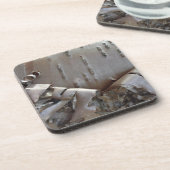 Curly Birch Bark Tree Rustic コースター (左側)