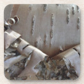 Curly Birch Bark Tree Rustic コースター (正面)