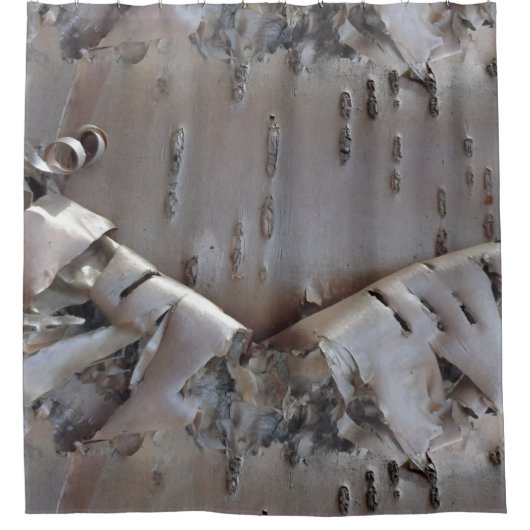 Curly Birch Bark Tree Rustic シャワーカーテン (正面)