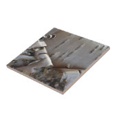 Curly Birch Bark Tree Rustic タイル (側面)