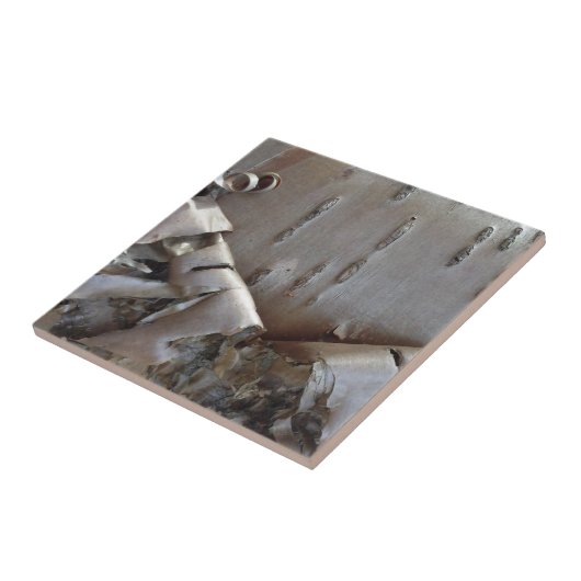 Curly Birch Bark Tree Rustic タイル (側面)