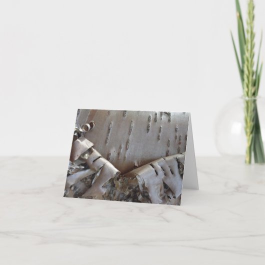 Curly Birch Bark Tree Rustic ノートカード (正面)