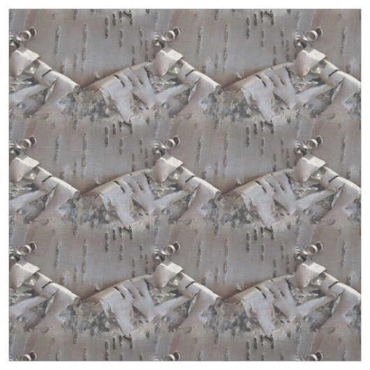 Curly Birch Bark Tree Rustic ファブリック (見本)