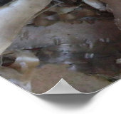 Curly Birch Bark Tree Rustic ポスター (角)