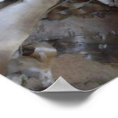 Curly Birch Bark Tree Rustic ポスター (角)