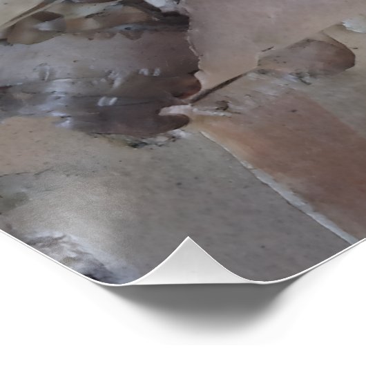 Curly Birch Bark Tree Rustic ポスター (コーナー)