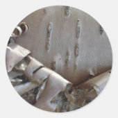 Curly Birch Bark Tree Rustic ラウンドシール (正面)