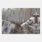 Curly Birch Bark Tree Rustic ラッピングペーパーシート (正面3)