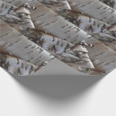 Curly Birch Bark Tree Rustic ラッピングペーパー (角)