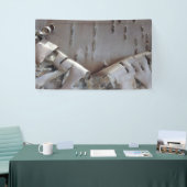 Curly Birch Bark Tree Rustic 横断幕 (トレードショー)