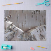 Curly Birch Bark Tree Rustic 薄葉紙 (クラフト)