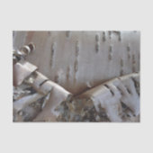 Curly Birch Bark Tree Rustic 薄葉紙 (正面)