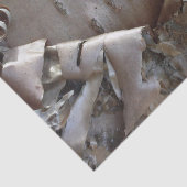 Curly Birch Bark Tree Rustic 薄葉紙 (詳細)