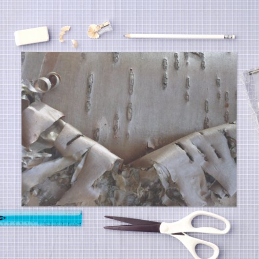 Curly Birch Bark Tree Rustic 薄葉紙 (クラフト)