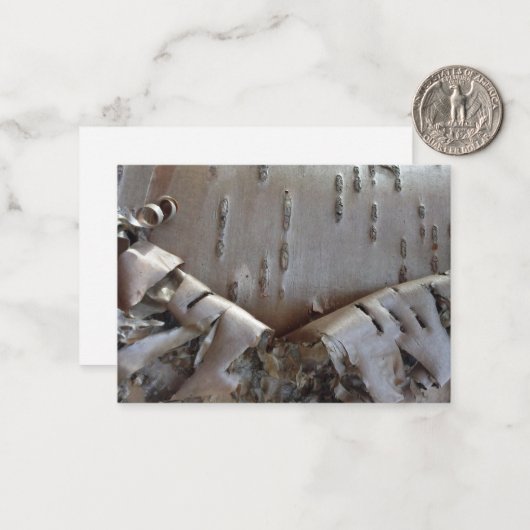 Curly Birch Bark Tree Rustic Flat Note Card ノートカード (正面/裏面インサイチュ)