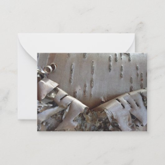 Curly Birch Bark Tree Rustic Flat Note Card ノートカード (正面)
