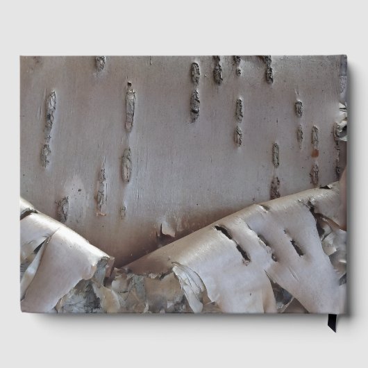 Curly Birch Bark Tree Rustic Guest Book ゲストブック (裏面)