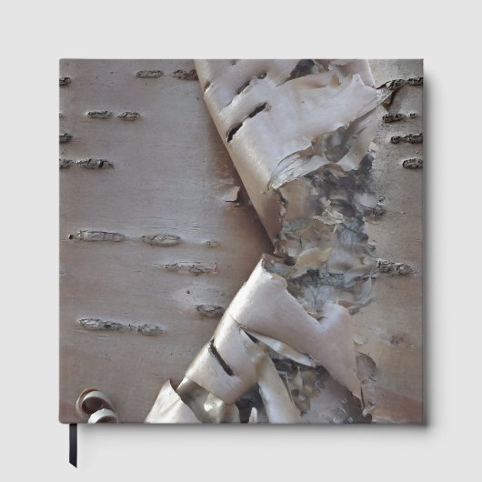 Curly Birch Bark Tree Rustic Guest Book ゲストブック (正面)