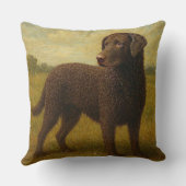 Curly Coasted Retriever クッション (裏面)