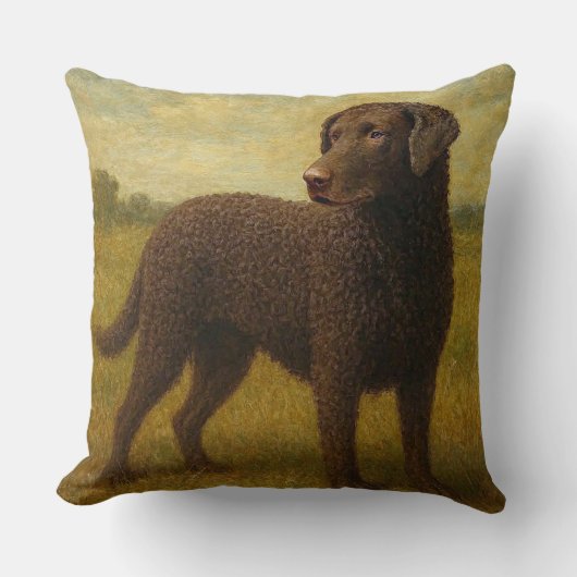 Curly Coasted Retriever クッション (正面)