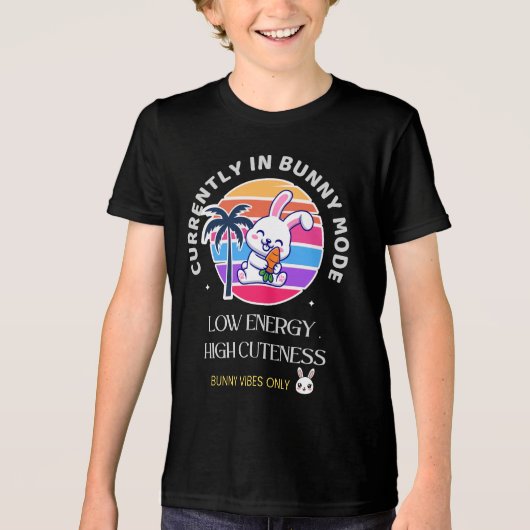 Currently in Bunny Mode  トライブレンドＴシャツ (正面)