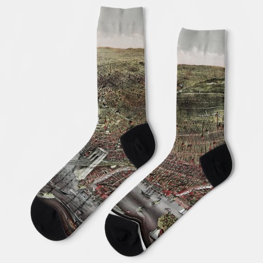 Currier and Ives print of Brooklyn, 1886 ソックス (左)