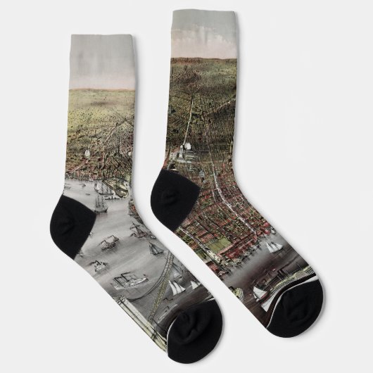 Currier and Ives print of Brooklyn, 1886 ソックス (右)