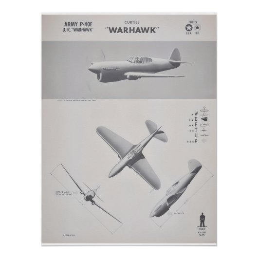Curtiss P-40 Warhawk認定ポスター ポスター (正面)