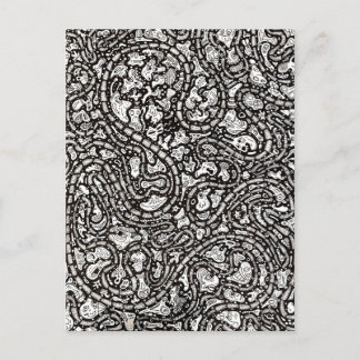 Curvy Twisty Cartoon Weird Faces Design ポストカード