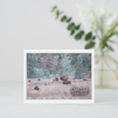 CUSTER SOUTH DAKOTA - BISON WATER COLORのHERD ポストカード (スタンド正面)