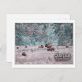 CUSTER SOUTH DAKOTA - BISON WATER COLORのHERD ポストカード (正面/裏面)