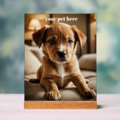 Custom アクリルサイン (ニュートラル)