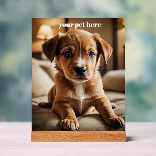 Custom アクリルサイン (ニュートラル)