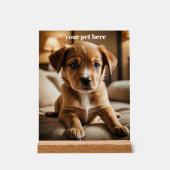 Custom アクリルサイン (正面)