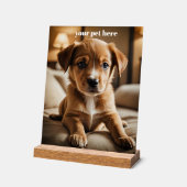 Custom アクリルサイン (傾斜)