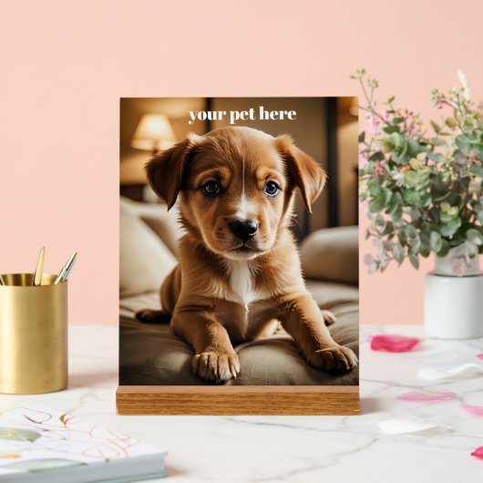 Custom アクリルサイン (ウェディング)