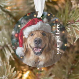 Custom オーナメント