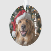 Custom オーナメント (正面)